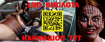 шишки Берёзовский