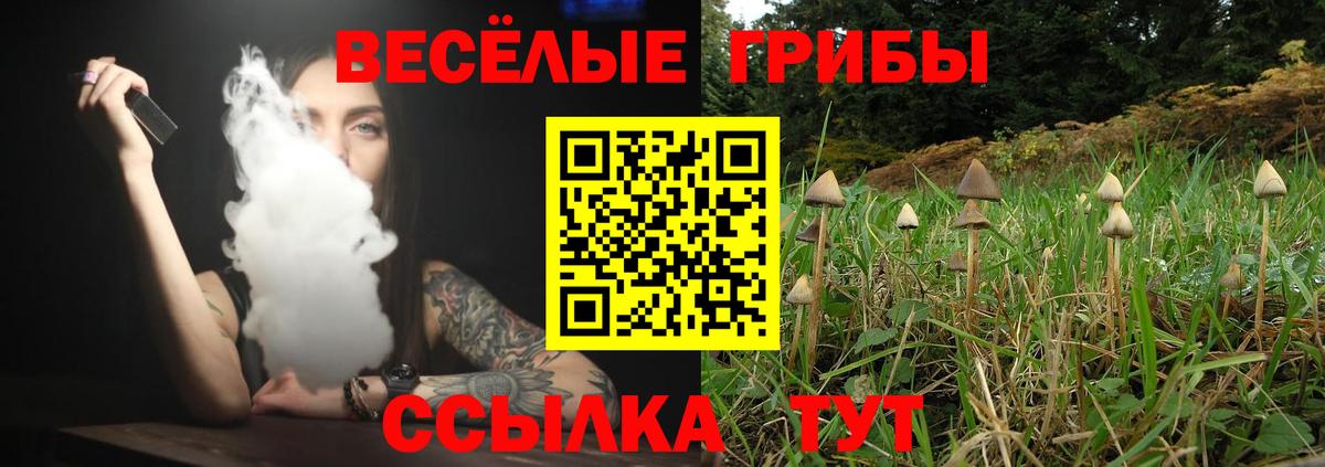 Галлюциногенные грибы прущие грибы  Псилоцибиновые грибы Psilocybe  Калуга  Вход с VPN 